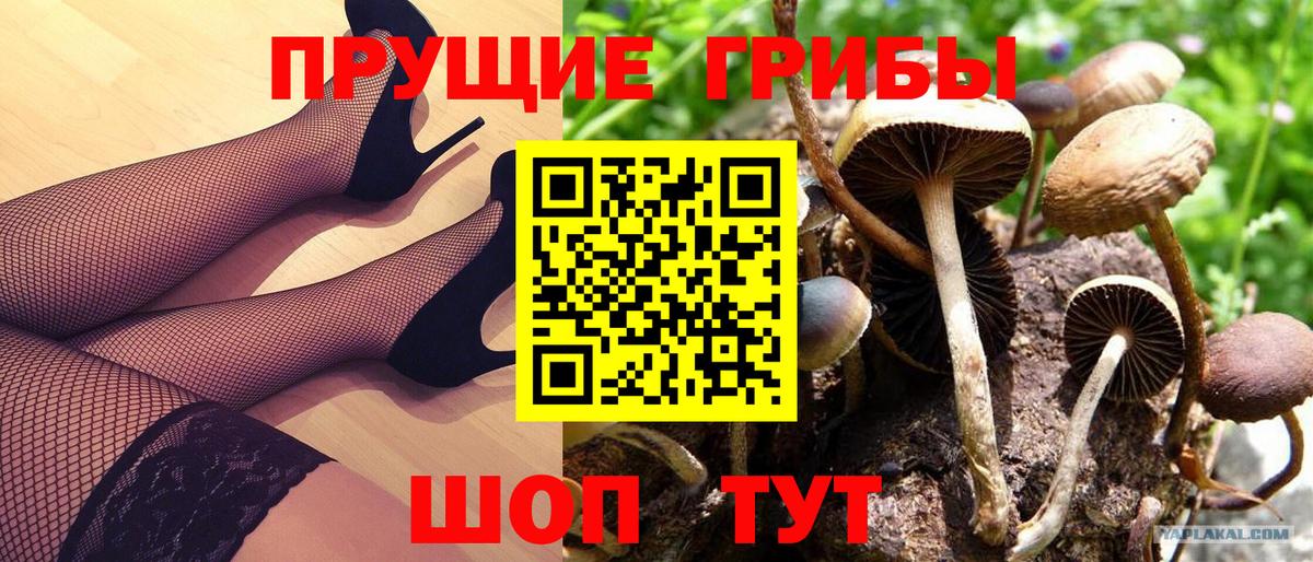 Псилоцибиновые грибы ЛСД  Вход с VPN  Трёхгорный 